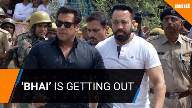 Salman Khan getting out on bail after getting convicted for poaching blackbucks