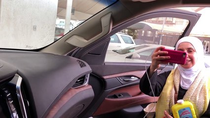 المقاديد بين القروش والخفافيش _ طيور الجنة