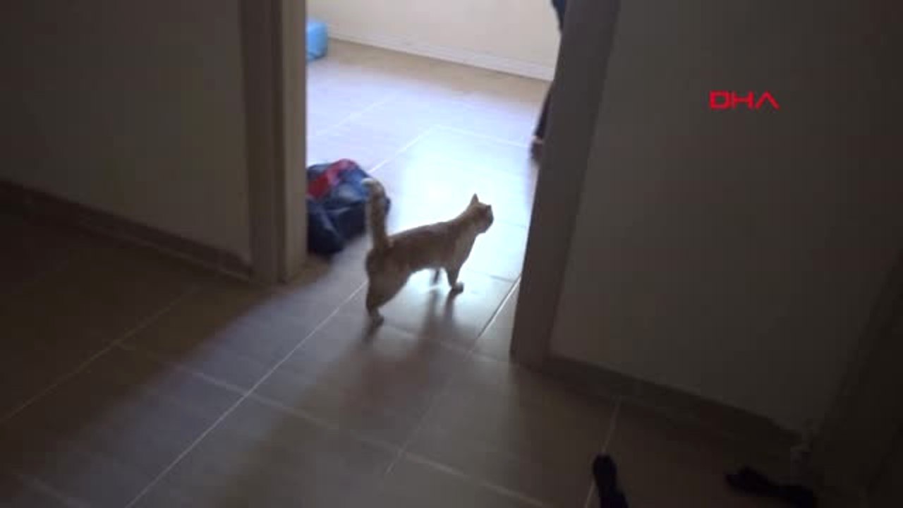 Mardin Ülker Öğretmen, Sokak Hayvanlarının Umudu Oldu