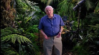 Micro Monsters With David Attenborough S01e02