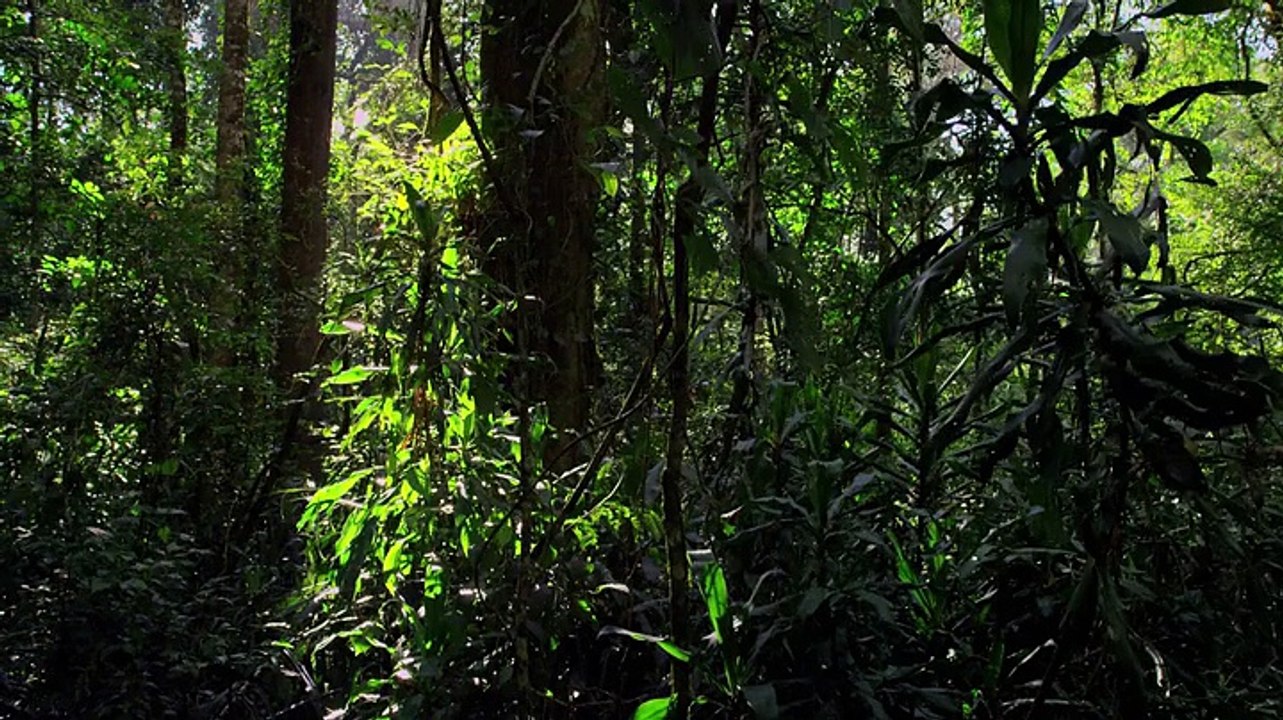 Micro Monsters With David Attenborough S01e03