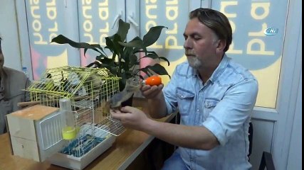 Kütükten Çıkan Yavru Sincapları Biberon İle Besliyor