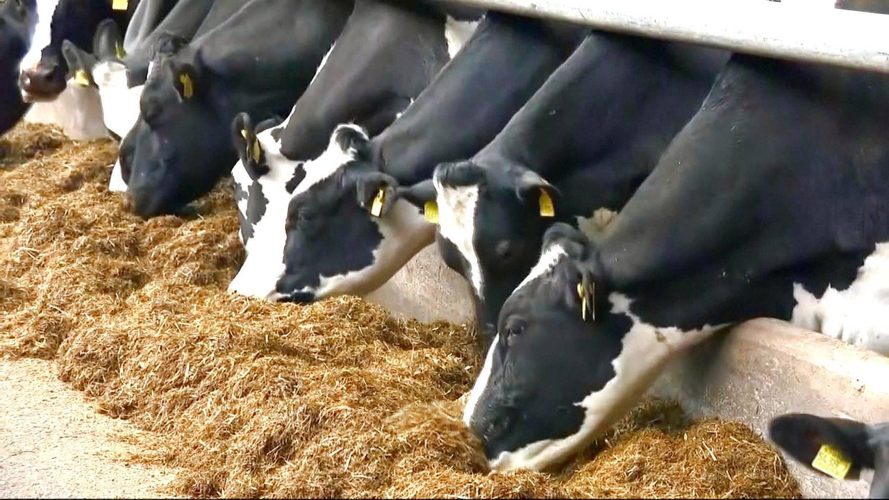 UK farmers concerned about future post-Brexit