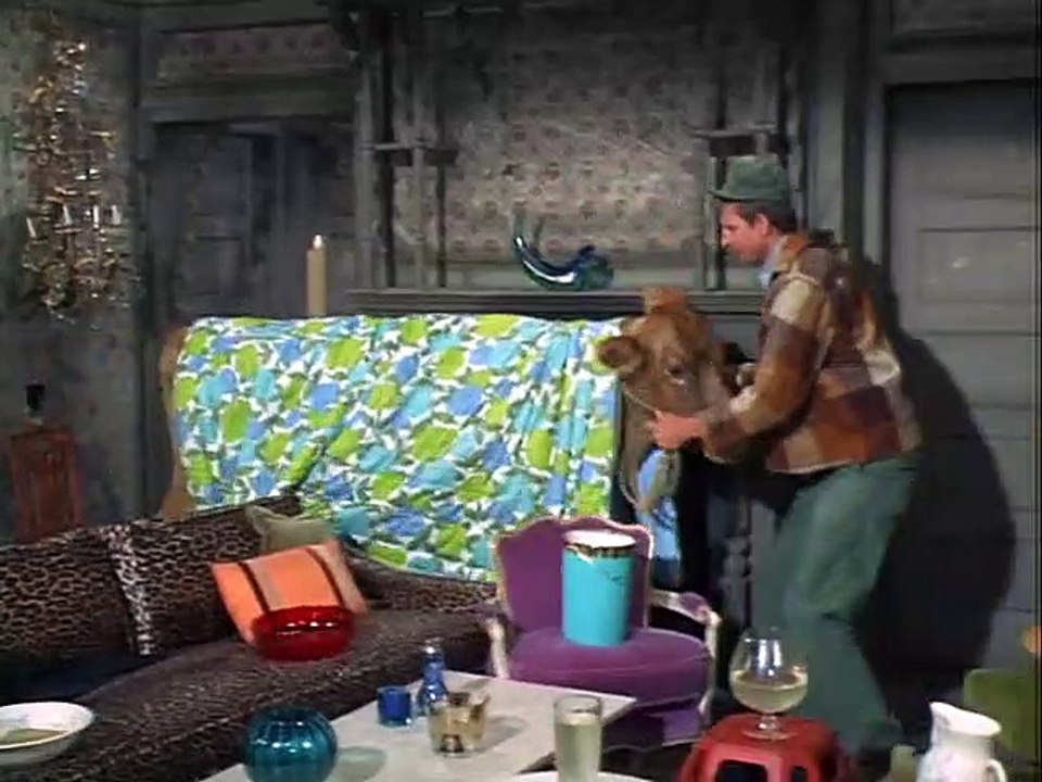 Green Acres S1 E12 - Lisa Has a Calf