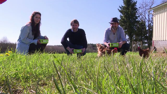 Des poules en maison de retraite pour échapper à l'abattoir