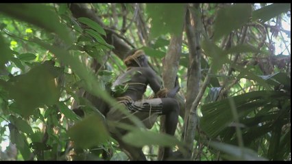 Nous sommes l'Humanité Bande-annonce VO (2018)