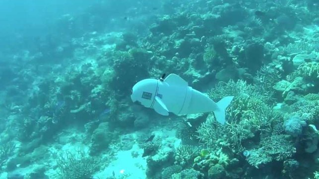 VIDEO. Ce robot-poisson explore les fonds marins