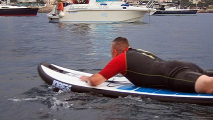 Les pompiers interviennent pour sauver un dauphin