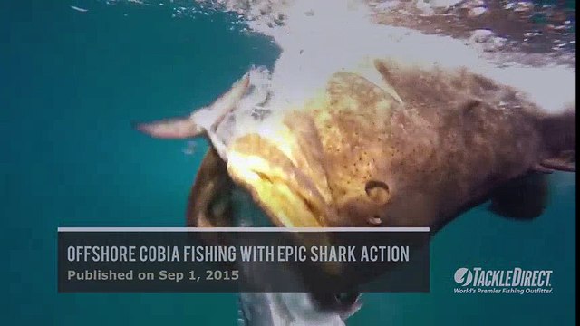 2015 yılı en İyi 10 Balıkçı Klipleri | Kalkan kardeşler jigging videoları