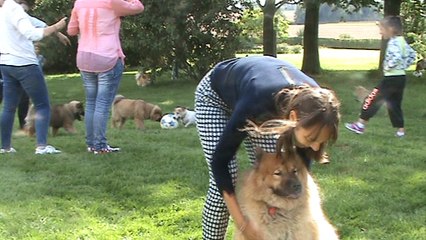 Souvenirs, souvenirs ... Lao et Icetea