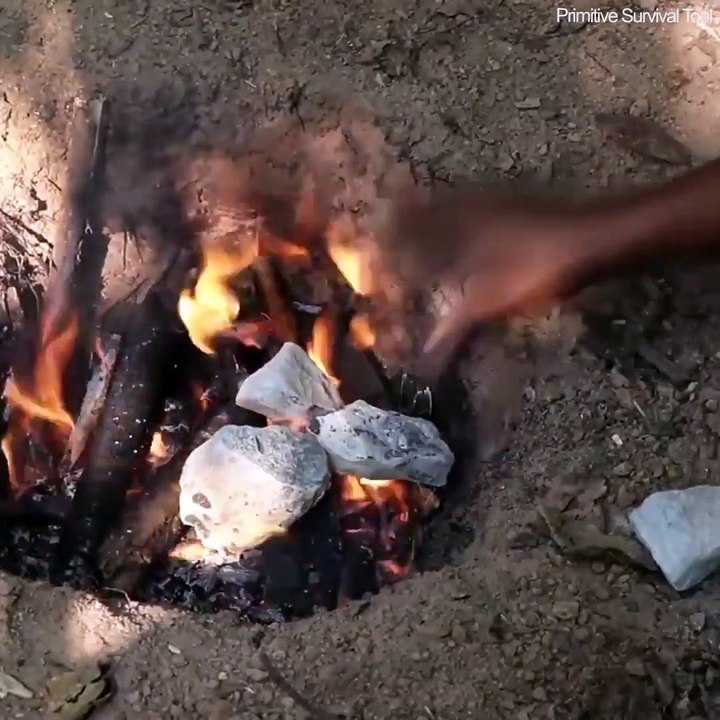 solo son sus manos-seulement vos mains-numai mâinile tale