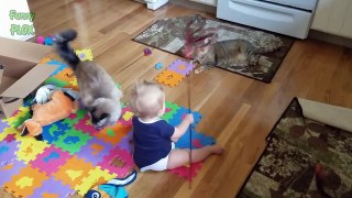 Kittens and Babies Playing Together Compilation (2018)