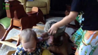 Funny Dogs Kissing Babies Compilation (2018)