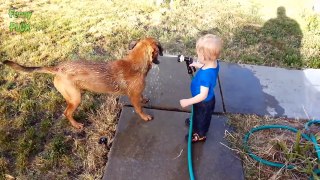 Funny Dogs and Babies Playing with Hoses Compilation (2017)
