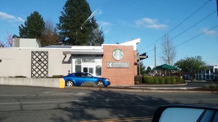 Ay Calypso - Our Earth Is Dying