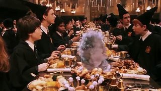 Why Wizards Hide From Muggles In Harry Potter!