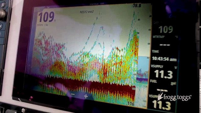Dev akya balığı için Meksika Körfezi'nde arama - 4K | Kalkan kardeşler jigging videoları