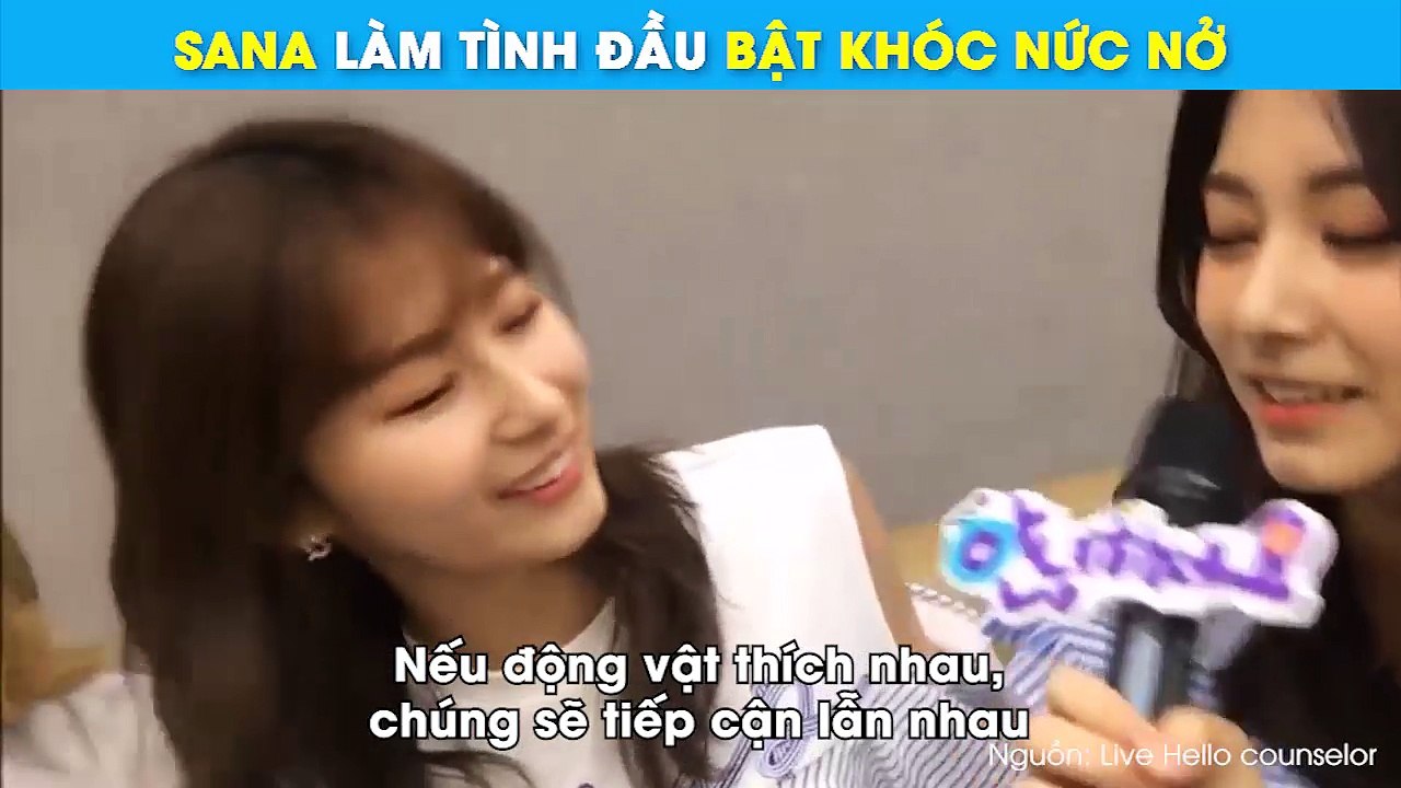 Fan cười bò khi Sana (TWICE) lần đầu tiết lộ kinh nghiệm tình yêu từng làm tình đầu bật khóc nức nở