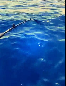 Derin Su (Patlakgöz) Mercan Avı. | Kalkan kardeşler jigging videoları