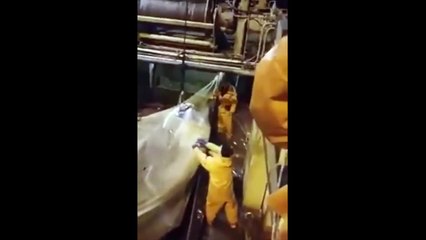 balıkçıların okyanusta yakaladığı dev balık