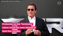 Production on ‘Terminator’ Reboot Movie Delayed