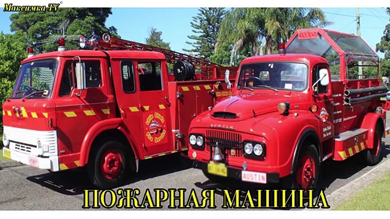 Транспорт и спецтехника, развивающий мультфильм, изучаем транспорт и звуки