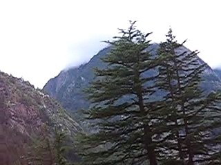 Gangotri | Uttarakhand