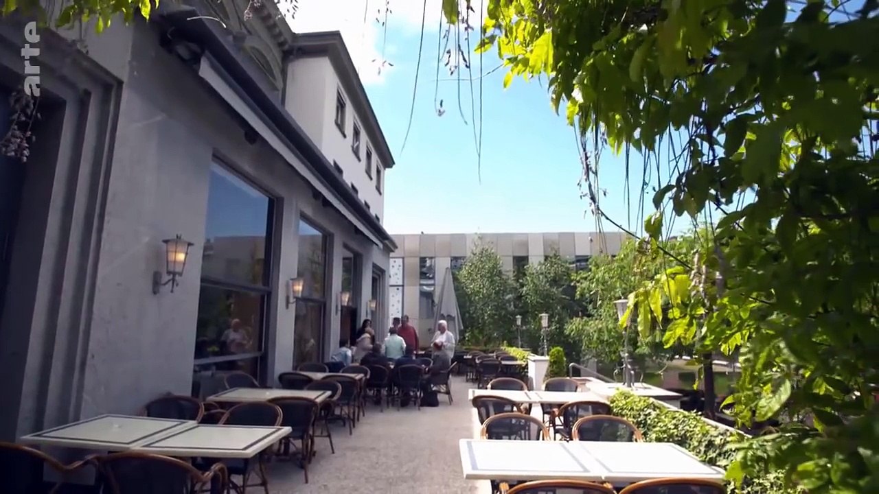 Der Streit um den Hirntod   ARTE