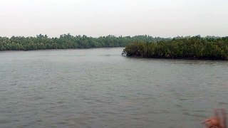 Approaching Dobanki Sundarbans