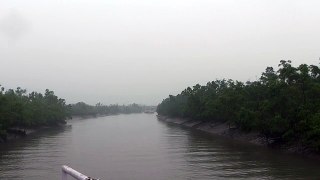 Narrow channel way to Dobanki Sundarbans