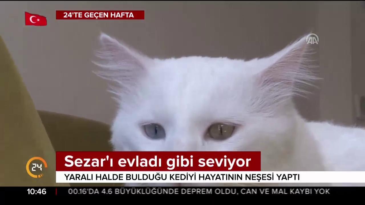 Sezar'ı evladı gibi seviyor