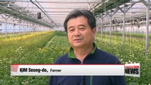 Exports of Korean flowers surge on improved seed quality