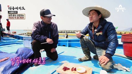 버릴것 하나 없다 비싼 몸값 자랑하는 국내산 생참다랑어