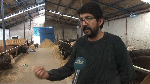 Mermer tozunun faydaları saymakla bitmiyor