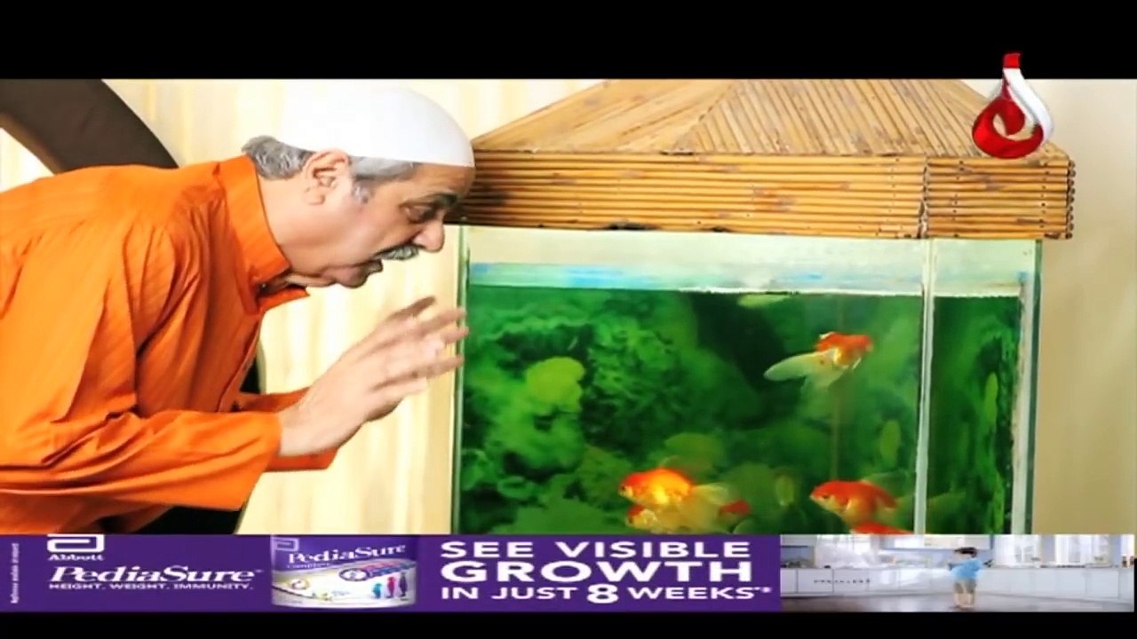 Pakistani Drama | Biwi Se Biwi Tak - Episode 12 | Aaj Entertainment Dramas