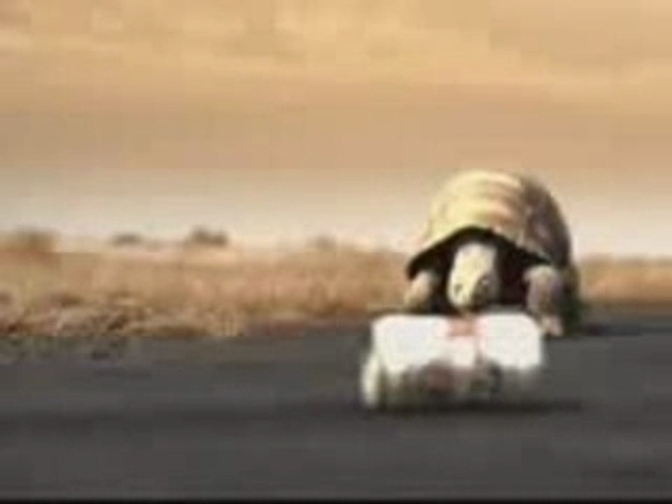 TORTUGA