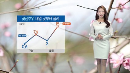 [날씨] 꽃샘추위 낮부터 풀려...미세먼지 오전 '나쁨' / YTN