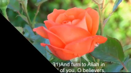 What does soul do in  Barzakh the unseen world