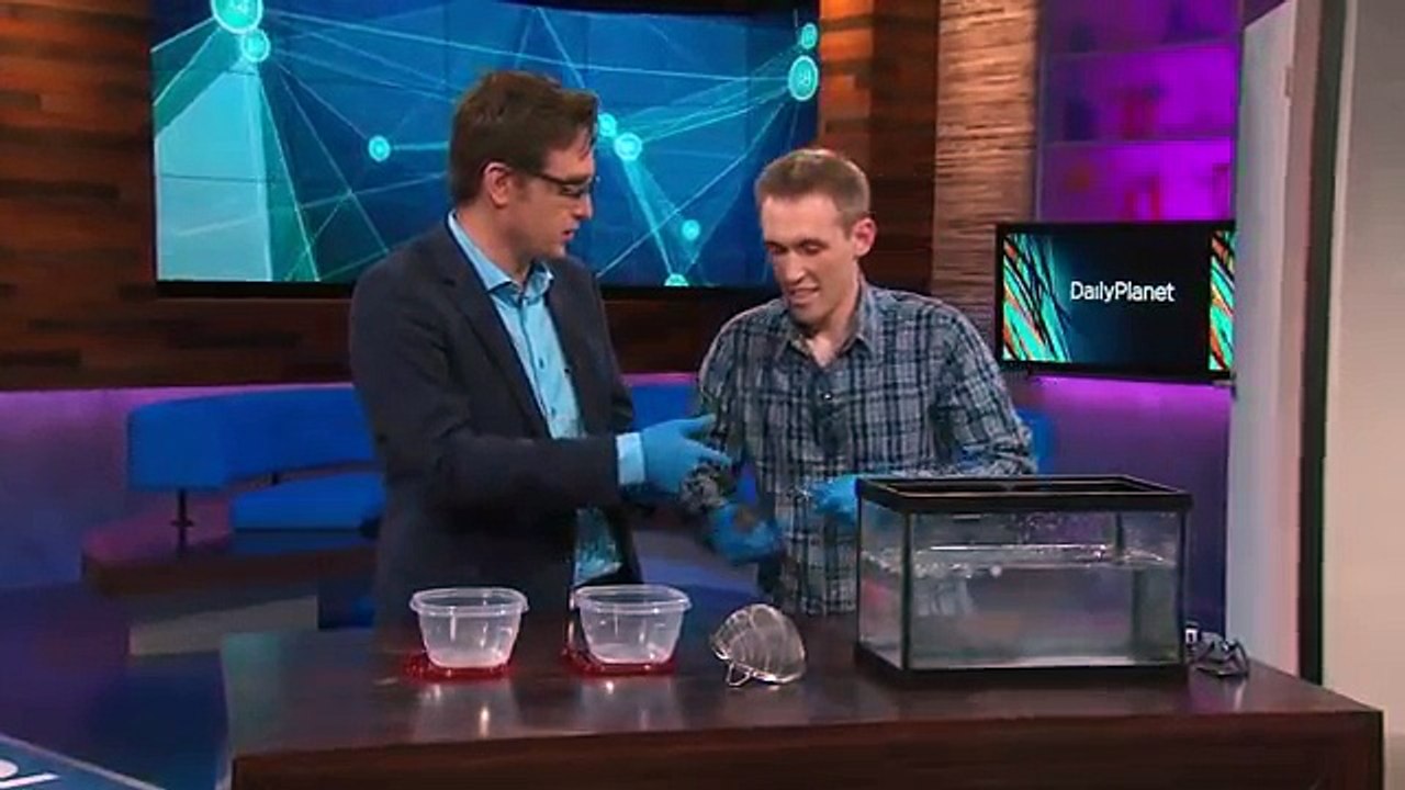 Iron Pipe Explodes with Frozen Water - Jeffrey Vinokur, Discovery Channel