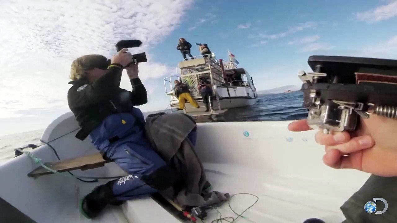A huge white shark is attacking a small boat ... Awesome Images