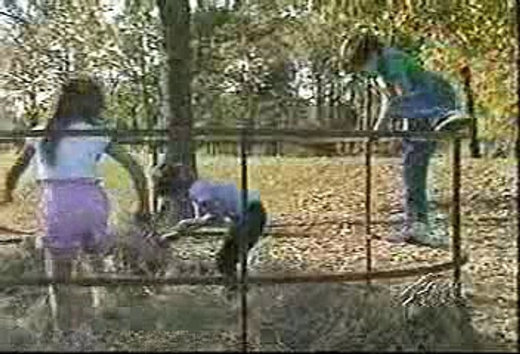 Rescue 911 - S01e19
