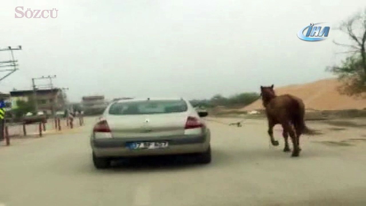 Bursa'da vicdanları sızlatan olay