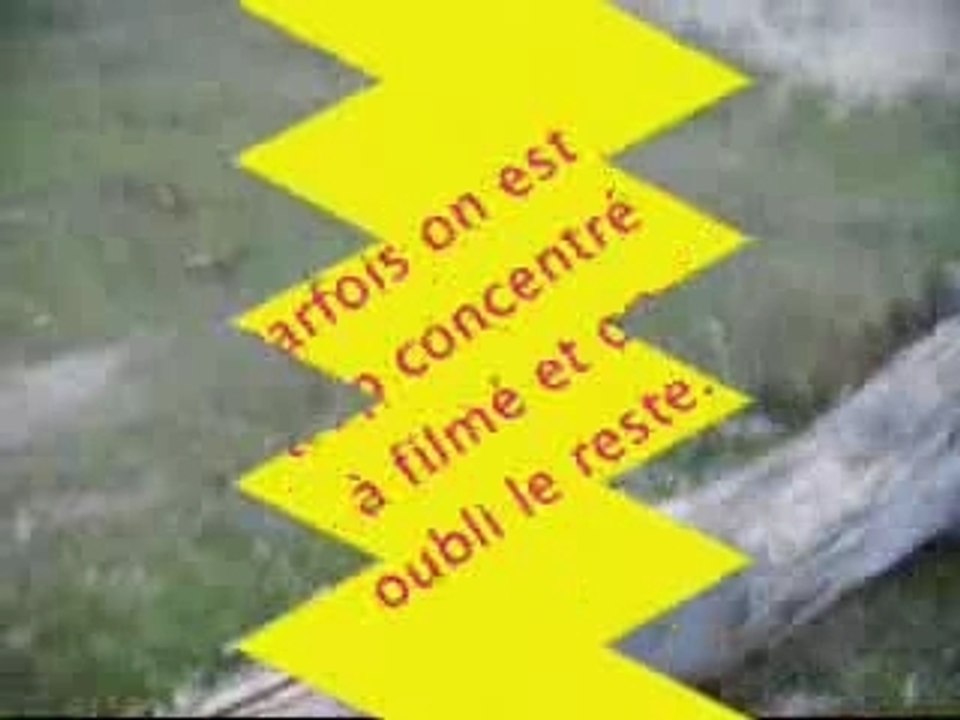 video vrai sons
