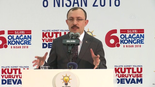 AK Parti Silivri 6. Olağan Kongresi - AK Parti TBMM Grup Başkanvekili Muş - İSTANBUL