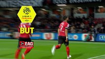 But Ludovic BLAS (47ème) / EA Guingamp - ESTAC Troyes - (4-0) - (EAG-ESTAC) / 2017-18