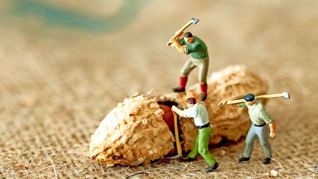 Fehler im Rechtsstaat - Rechte und Pflichten