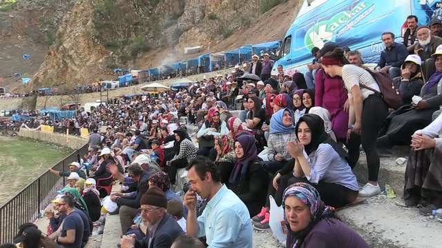 24. Yusufeli Sarıgöl Geleneksel Boğa Güreşleri - ARTVİN