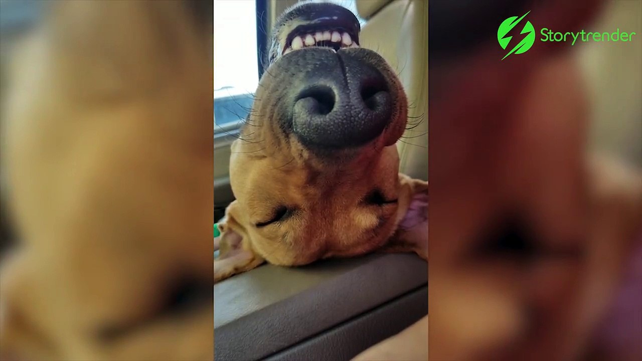 Tu fais quoi aujourd'hui?? Moi je dors!!!