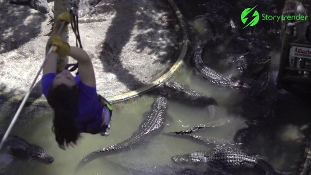 Oserez-vous prendre cette tyrolienne au dessus des crocodiles...
