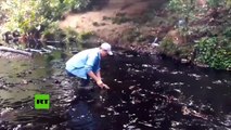 Derrame de crudo causa emergencia ambiental en Colombia